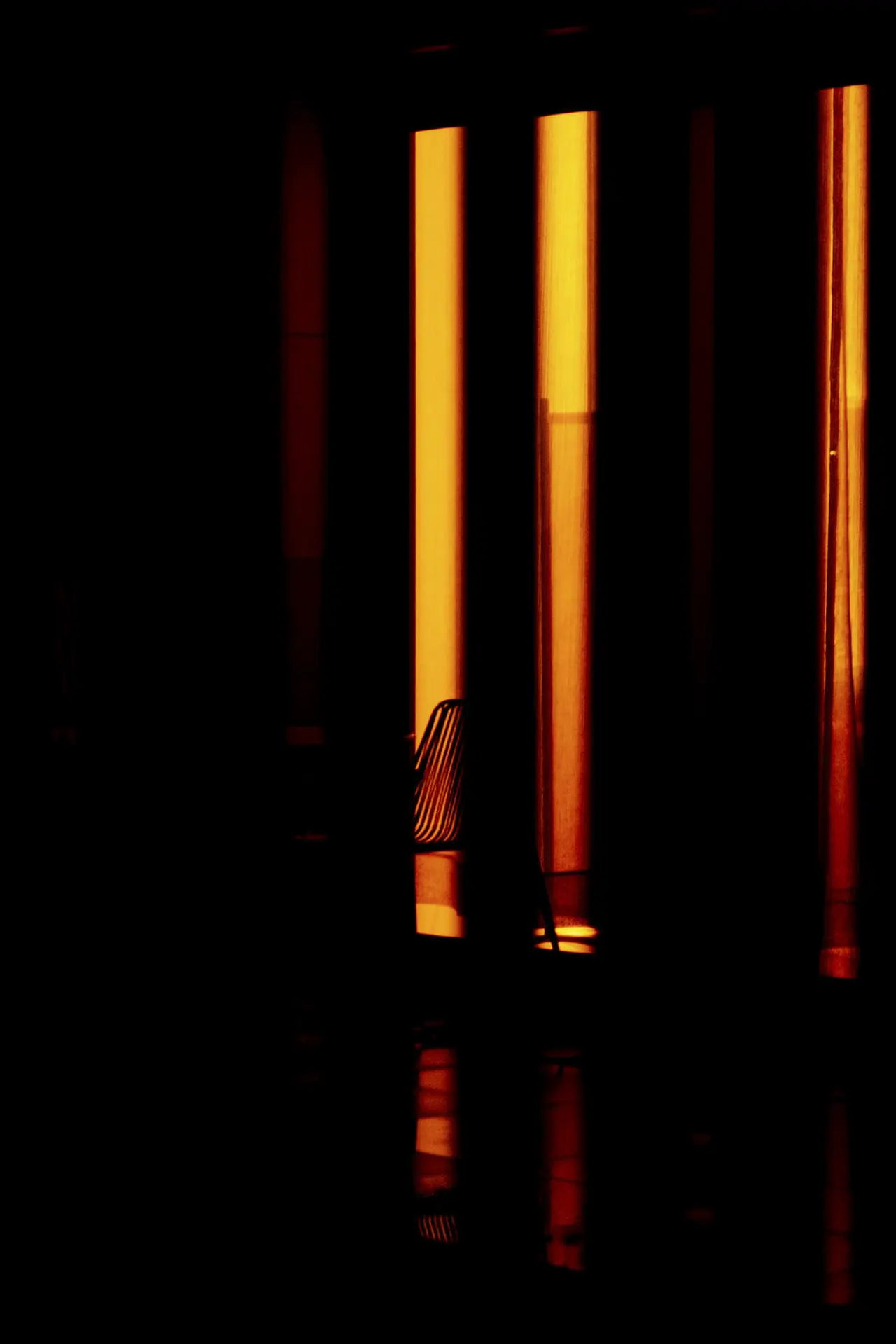 Nocturnal Animals